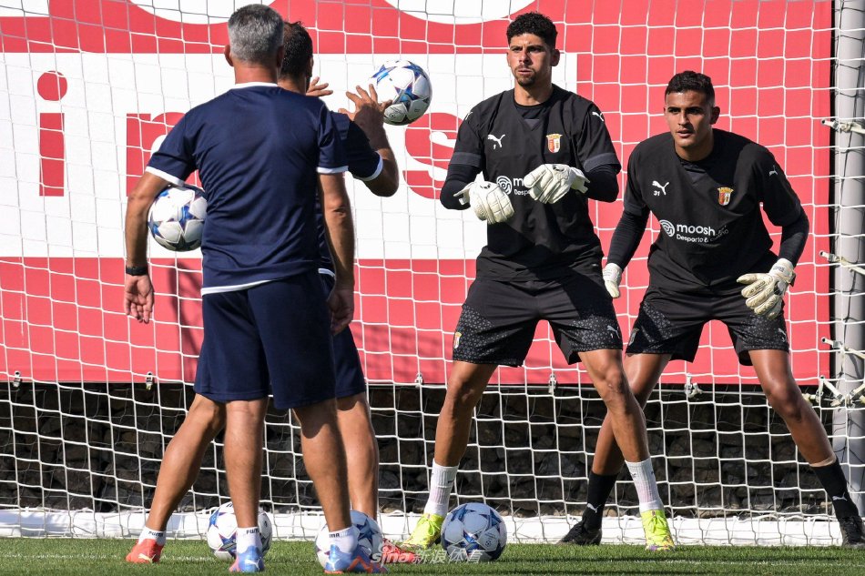 雄鹿在比赛 雄鹿在比赛