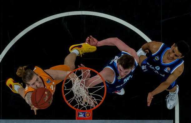 森林狼现状 森林狼现状